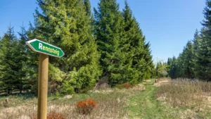 rennsteig-wanderung-hohe-moest-6