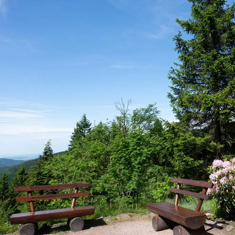 Rennsteiggarten Oberhof Rennsteiggarten Oberhof